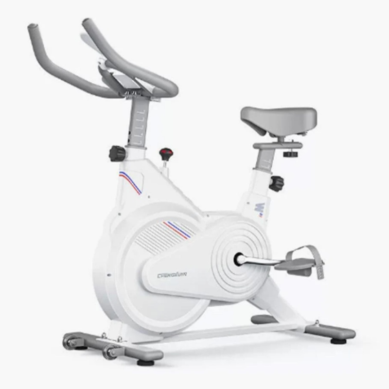 Home Gym Rig - Vélo de spinning d'intérieur, vélo d'exercice