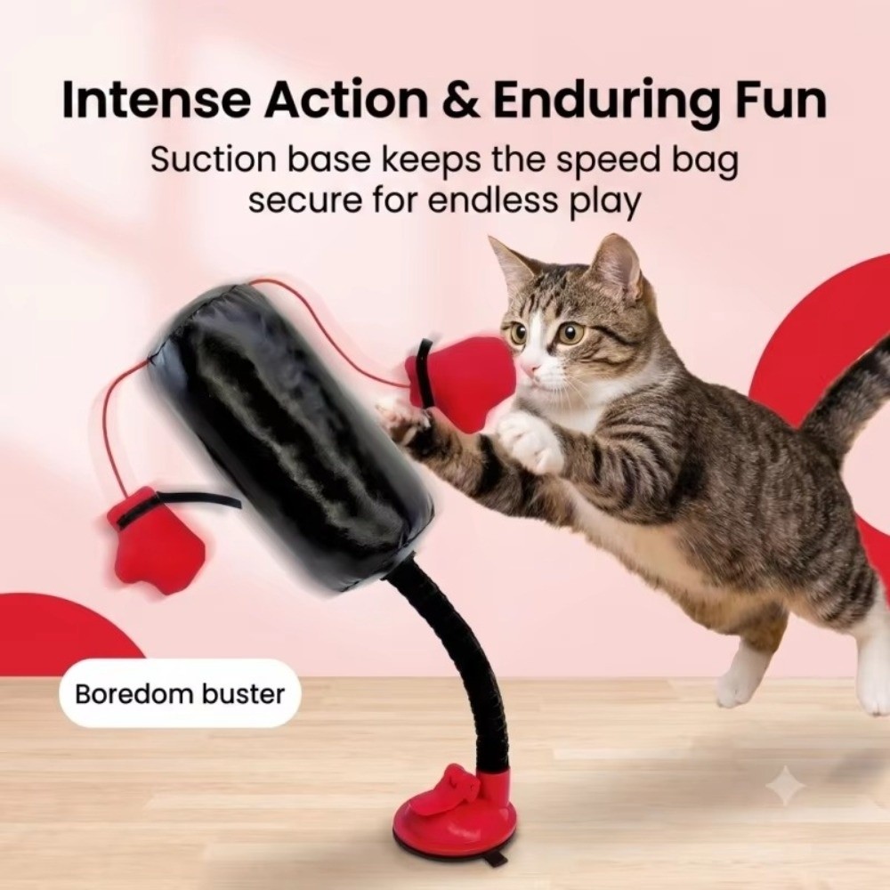 Jouet de boxe pour chat sur ba - Boxing Bag Stand avis et prix