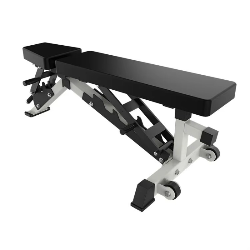 Banc d'haltères de chaise de F - Home Gym Multi avis et prix