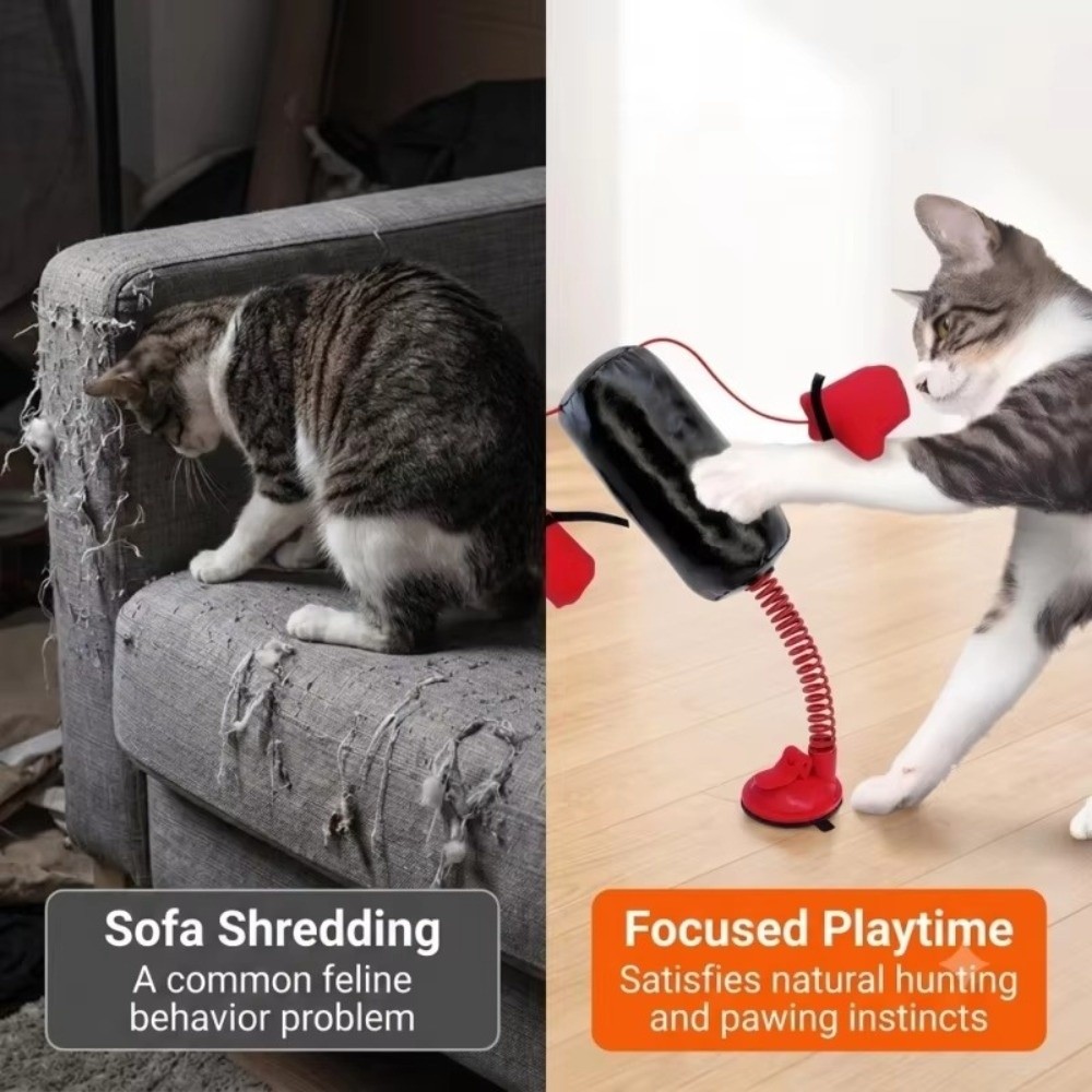 Jouet de boxe pour chat avec b - Boxing Bag Stand avis et prix