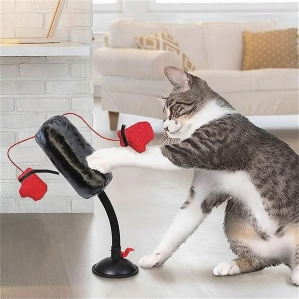 Jouet de boxe pour chat avec b - Boxing Bag Stand avis et prix